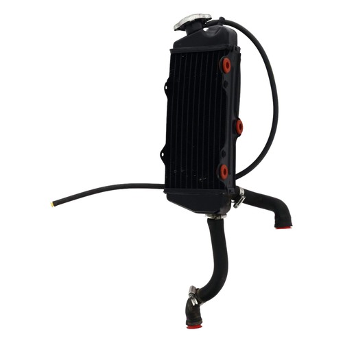 Radiatore beta rr - radiatore, 50