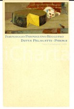1910 ca PARMA Parmigiano reggiano DITTA PELAGATTI *Cartolina FP NV