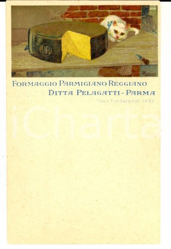 1910 parma parmigiano - ca,