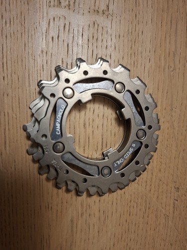 Pignoni campagnolo 11v - pignoni,