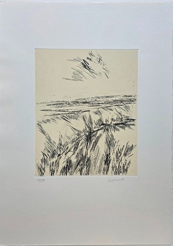 Arnoldo ciarrocchi acquaforte - arnoldo,