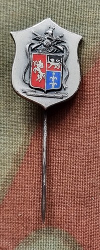 Distintivo argento 925 smalti - distintivo,
