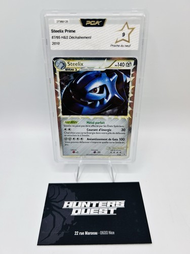 Pca carte pokémon - pokémon, steelix
