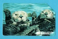 SCHEDA TELEFONICA-ANIMALI PER