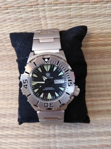 Montre plongée steeldive - plongée,
