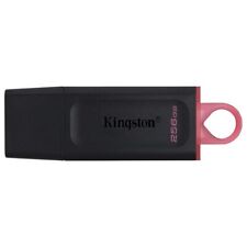Kingstone Pendrive 256 Gb