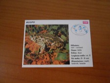 FIGURINA COLLEZIONE SCHEDE