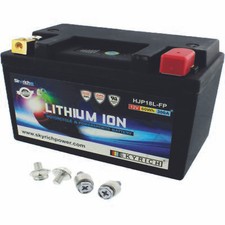 Skyrich HJP18L-FP Batteria
