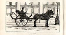Stampa antica CALESSE CARROZZA a due RUOTE con DUE CAVALLI 1892 Old print horses