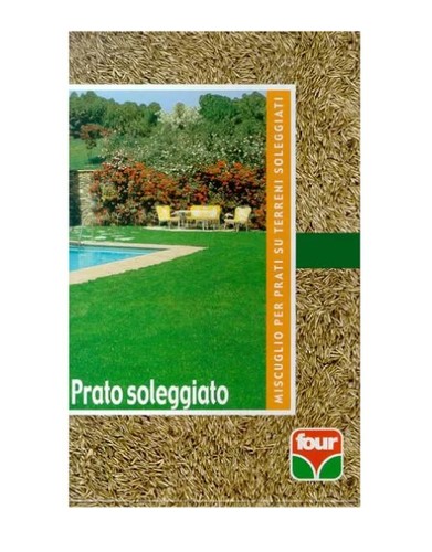 Seme prato soleggiato - seme, 1