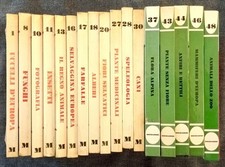 PICCOLE GUIDE MONDADORI. Lotto