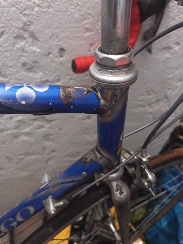 Colnago master piu need - colnago,