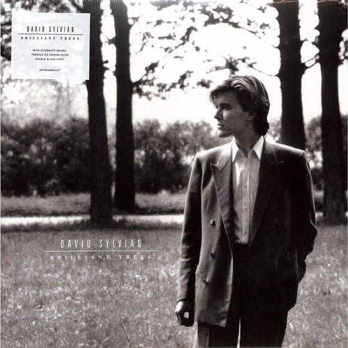 David sylvian brilliant - sylvian,