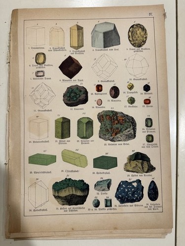 Stampa antica incisione 1888