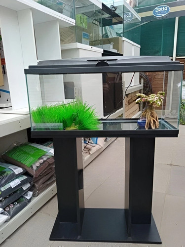 Nuovo fish tank - tank, acquario