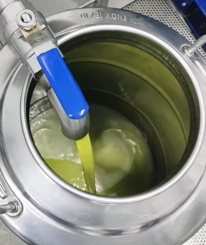 Olio evo biologico - evo,