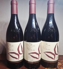 Braida suma 2004 - suma,