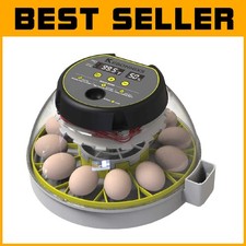 Incubatrice professionale per