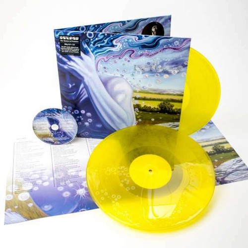 Kansas the absence - of, presence