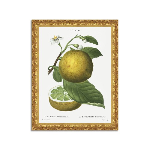 Quadro stampa tela effetto - tela,