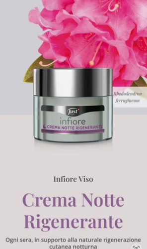 Crema notte rigenerante - crema,