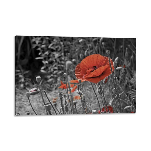 Quadro stampa tela - quadro,