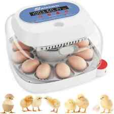 Incubatrice 12 uova