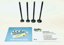 Serie Valvole Motore Per FANTIC CABALLERO 125 4T Motore Minarelli