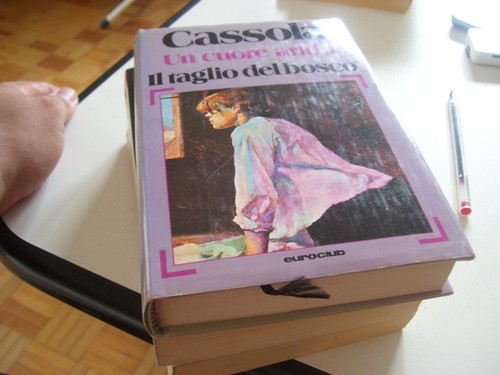 Libro taglio del bosco - il,