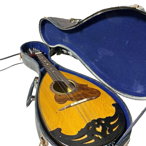 Suzuki 226 mandolino - mandolino, 1970
