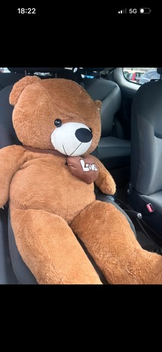 Orso peluche gigante - orso,