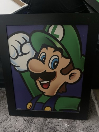 Nintendo luigi super mario - nintendo,