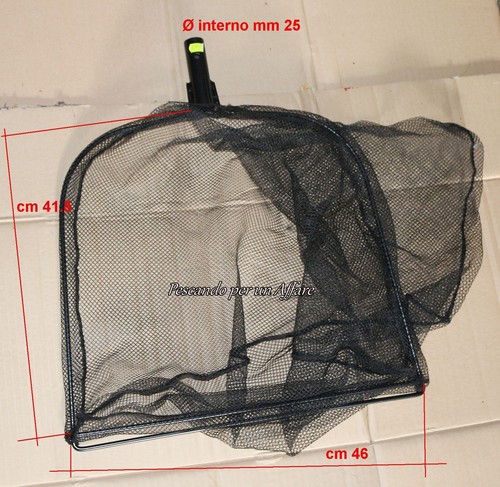 Testata guadino zepre - guadino, in