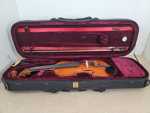 Gotthardt vsf stravari 4 - vsf, by