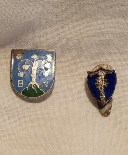 Spille bund naturschutz pin - naturschutz,