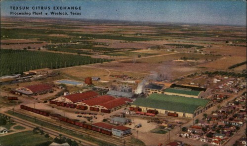 Cartolina weslaco texsun - cartolina, tx