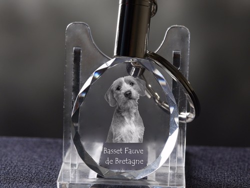 Basset fauve bretagne - de,