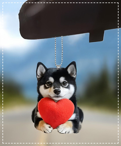 Cucciolo shiba inu - cucciolo,