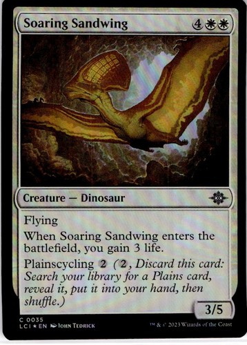 Mtg soaring sandwing - soaring,