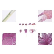  8 Pcs Piantine Artificiali