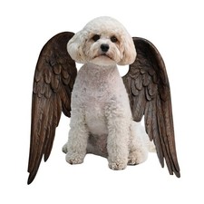 Ali d’angelo in pino