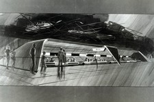 Walt Disney World foto lucida