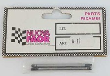 coppia steli ammortizzatori