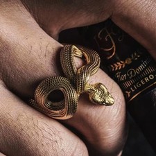 Anello Serpente Uomo Acciaio