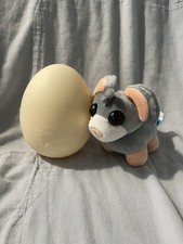 NUOVO ADOTTAMI! Sorpresa