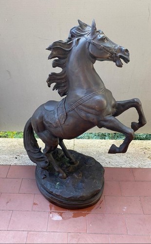 Statua cavallo bronzo - in,