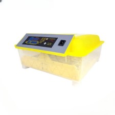 Fori Uova Incubatrice Vassoio