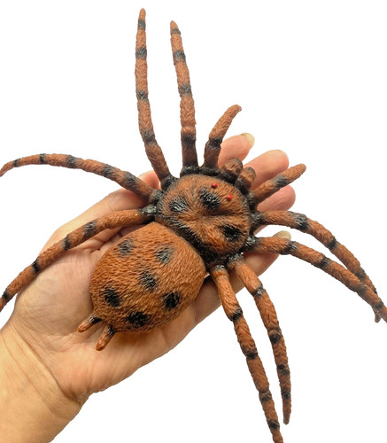 Enormi ragni finti - enormi, halloween