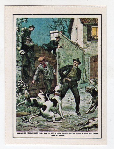 Figurina copertine della - copertine,