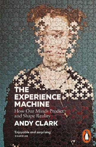 The experience machine how - experience,
